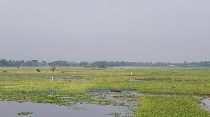 কার্তিকের নবান্নের দেশে