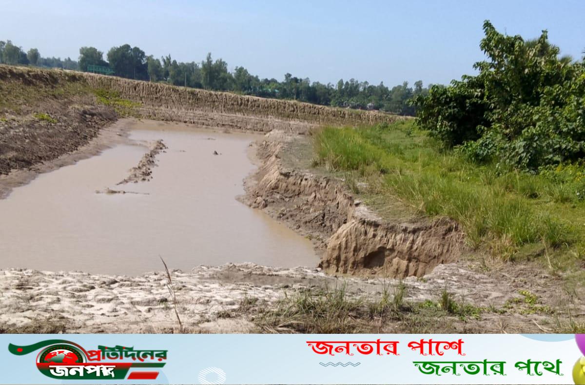 ভাঙ্গুড়ায় সরকারি রাস্তায় মাটি কেটে পুকুর খনন ও সরকারি গাছ কাটার অভিযোগ