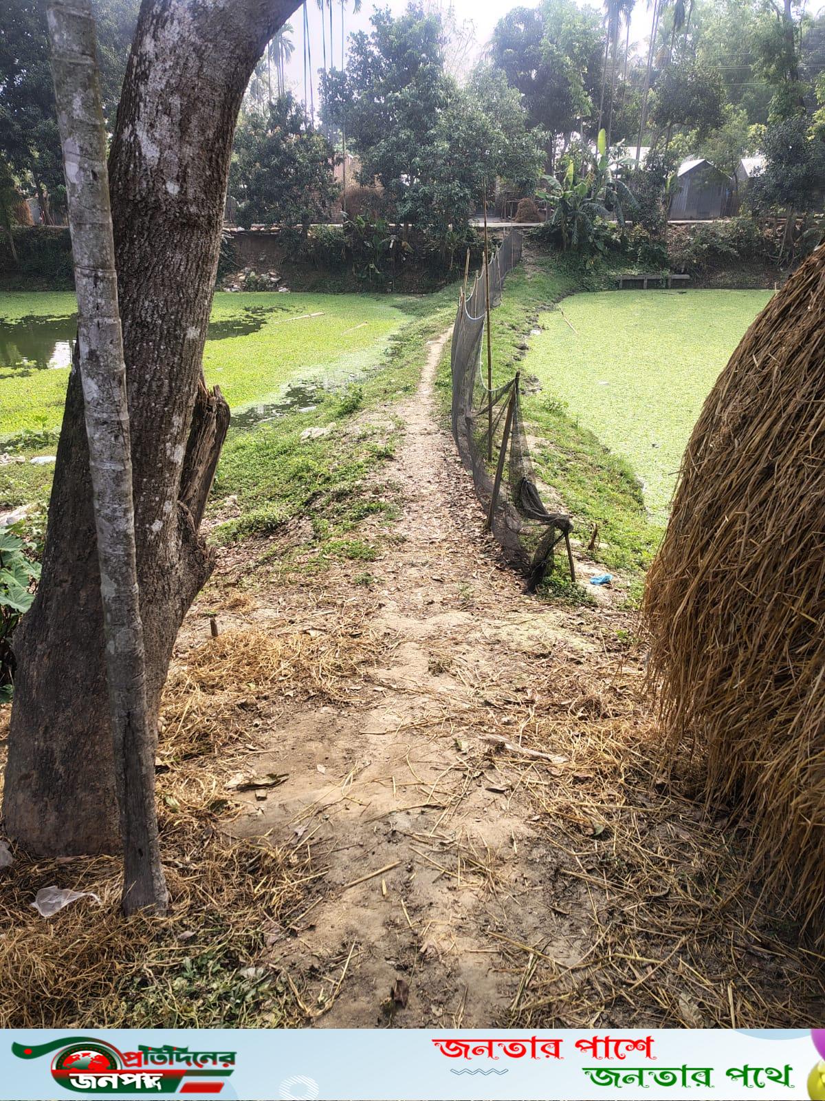ভাঙ্গুড়ায় উন্নয়ন প্রকল্পে অনিয়মের অভিযোগ: কাগজে রাস্তা, বাস্তবে নেই