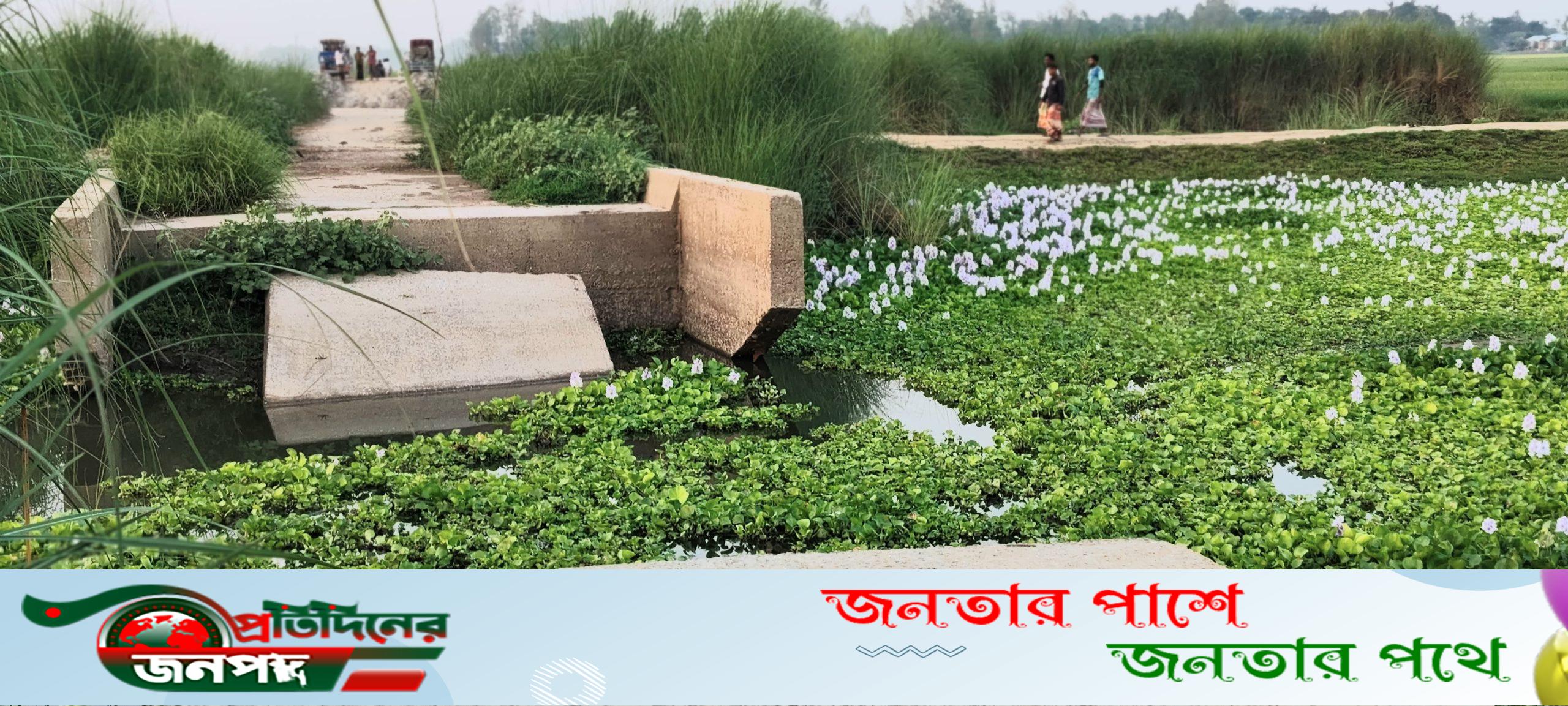 রাস্তা সংস্কার না করায় কাজে আসছে না দেড় কোটি টাকার ব্রিজ, জনদুর্ভোগ চরমে